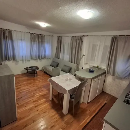 Opremljen Apartman Sa Balkonom I Netflixom