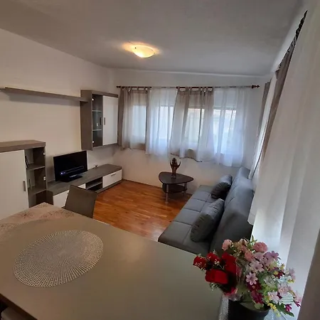 Opremljen Apartman Sa Balkonom I Netflixom Apartamento *